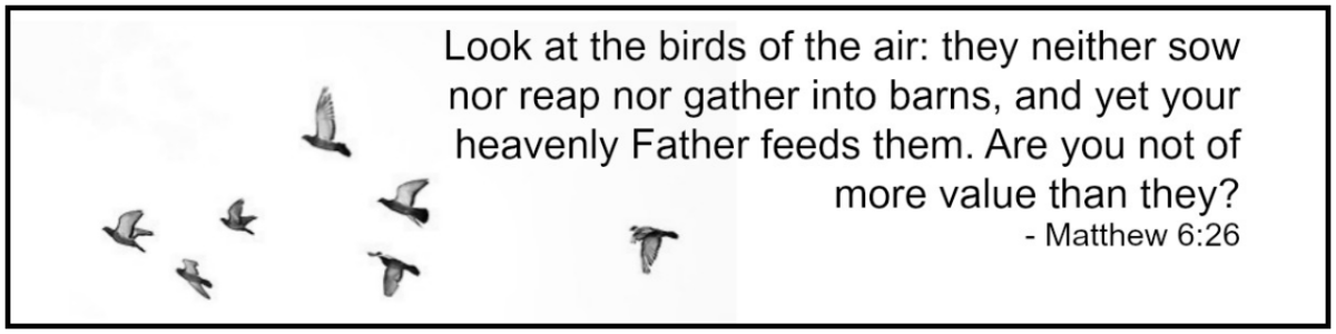 We Are Greater Than The&nbsp;Birds