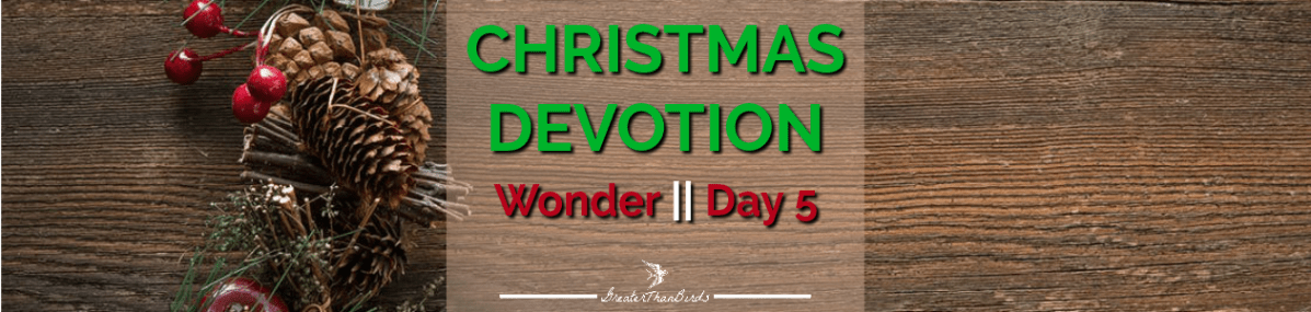 Christmas Devotion: Wonder || Day&nbsp;5